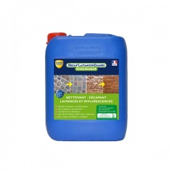 Decap' Laitances Guard 5l curasuperfici